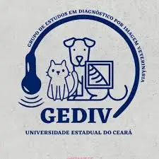 Foto do GEDIV