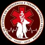 Foto do GEETIV