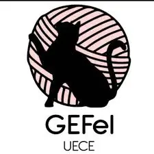 Foto do Gefel